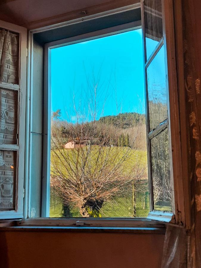 Agriturismo Tenuta Adamo Лукка Экстерьер фото
