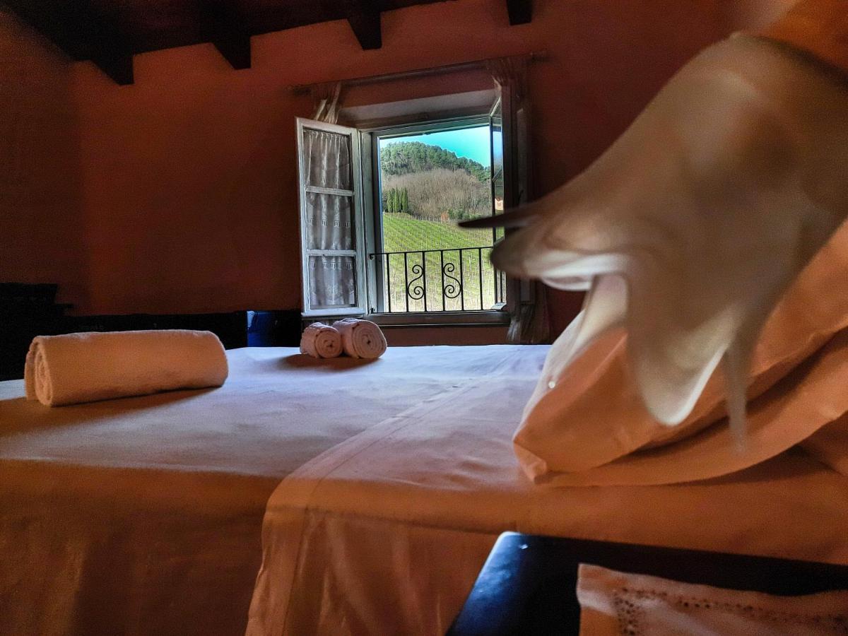 Agriturismo Tenuta Adamo Лукка Экстерьер фото