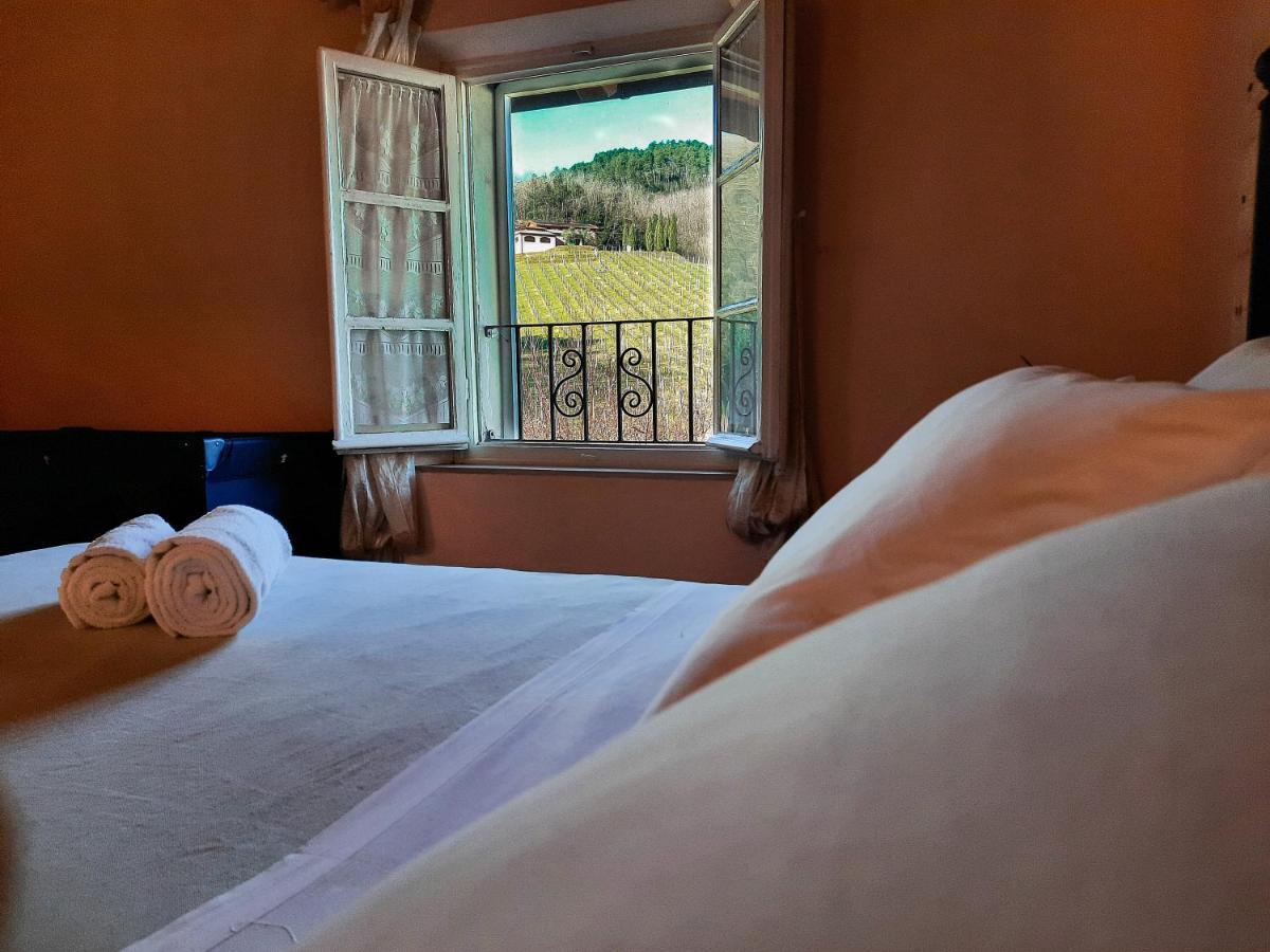 Agriturismo Tenuta Adamo Лукка Экстерьер фото